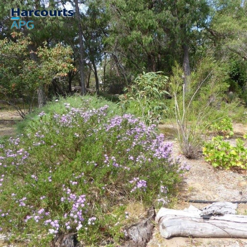 Photo - 17 Mewett Drive, Stratham WA 6237 - Image 20