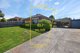 Photo - 17 Minchinbury Drive, Vermont South VIC 3133 - Image 1