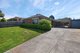 Photo - 17 Minchinbury Drive, Vermont South VIC 3133 - Image 2