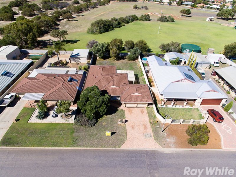 Photo - 17 Mugana Crescent, Waggrakine WA 6530 - Image 20