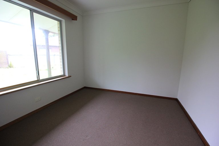 Photo - 17 Murphy Street, Fulham Gardens SA 5024 - Image 7