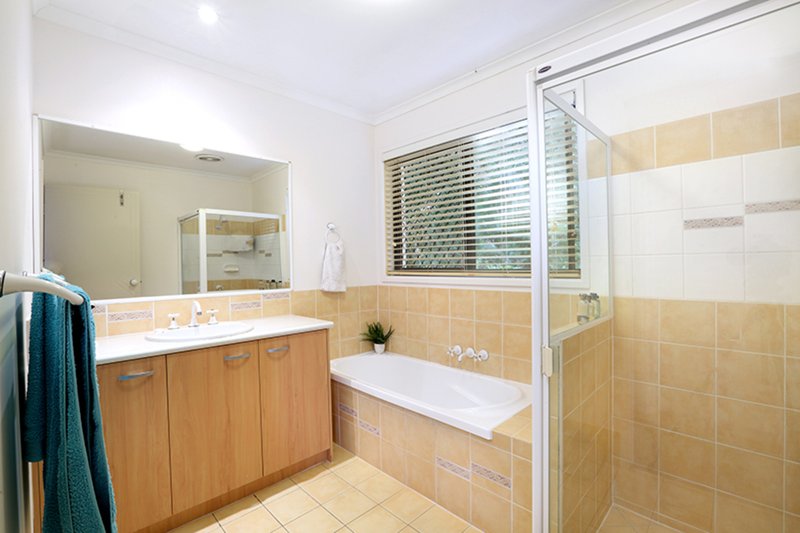 Photo - 17 Nandewar Drive, Buderim QLD 4556 - Image 6