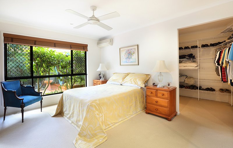 Photo - 17 Nandewar Drive, Buderim QLD 4556 - Image 15