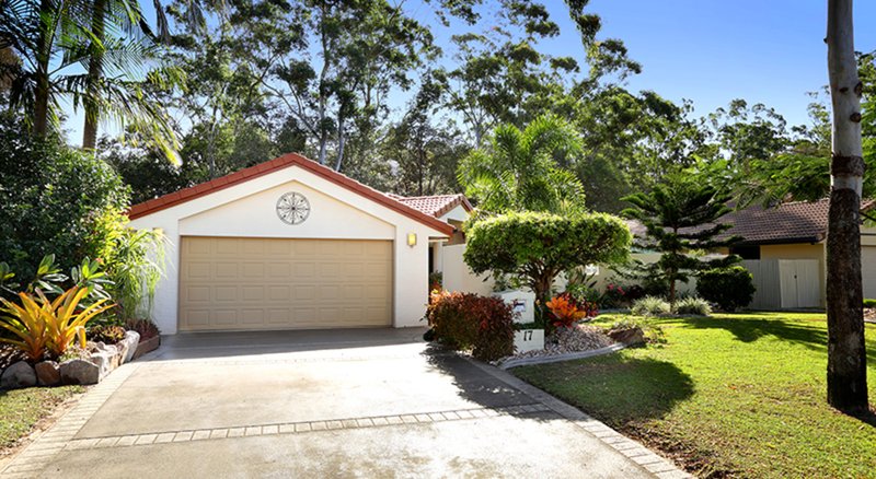 Photo - 17 Nandewar Drive, Buderim QLD 4556 - Image 21