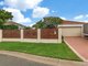 Photo - 17 Nardoo St , Robina QLD 4226 - Image 12