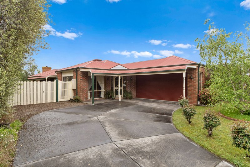 17 Noel Road, Langwarrin VIC 3910