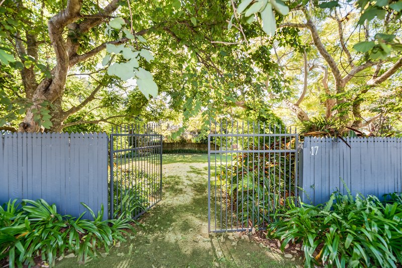 Photo - 17 Orme Road, Buderim QLD 4556 - Image 4