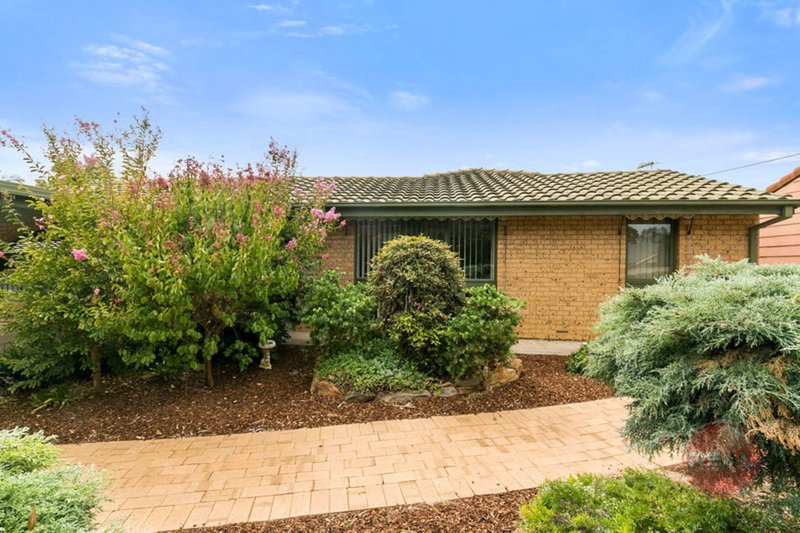 Photo - 17 Owen Street, Morphettville SA 5043 - Image 20