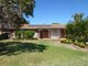 Photo - 17 Oxley Circle, Dubbo NSW 2830 - Image 1