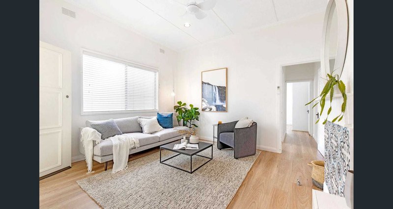 Photo - 17 Palmer Street, Balmain NSW 2041 - Image 4