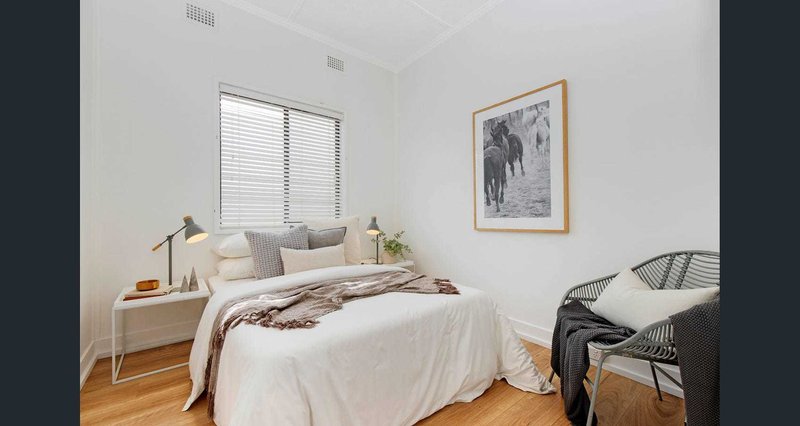 Photo - 17 Palmer Street, Balmain NSW 2041 - Image 5