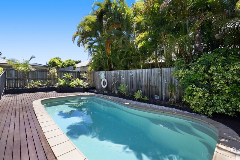 Photo - 17 Parkwood Place, Palmwoods QLD 4555 - Image 12