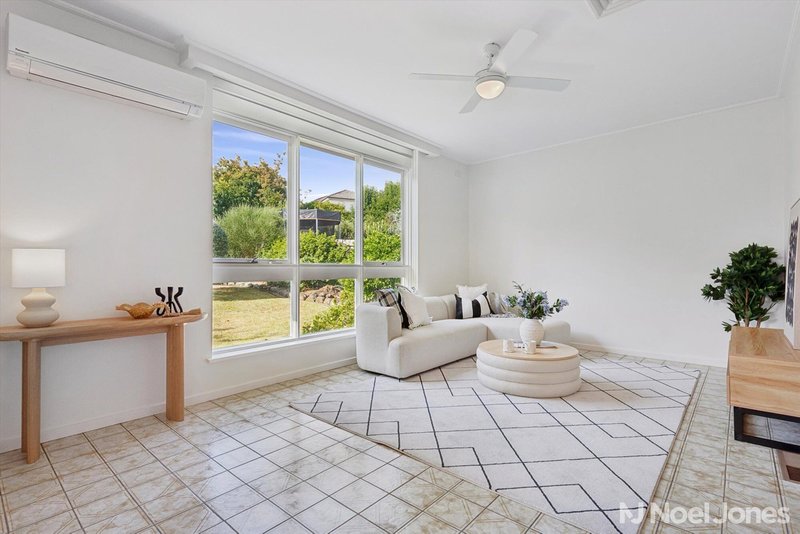 Photo - 17 Pavo Street, Balwyn North VIC 3104 - Image 4