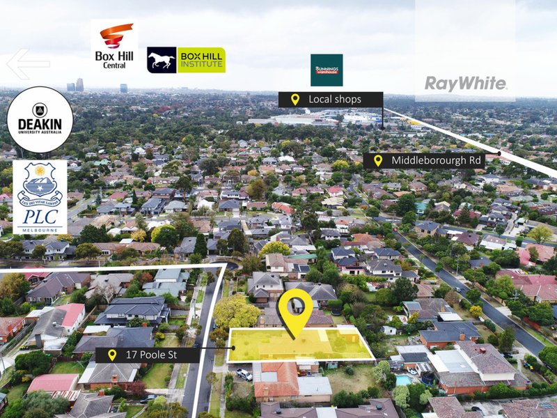 Photo - 17 Poole Street, Burwood VIC 3125 - Image 3