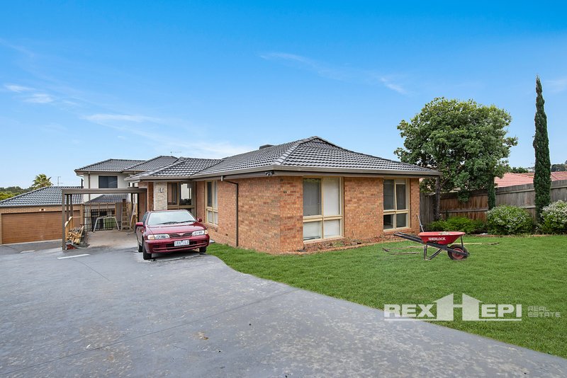 17 Preston Avenue, Endeavour Hills VIC 3802