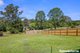 Photo - 17 Red Street, Pomona QLD 4568 - Image 12