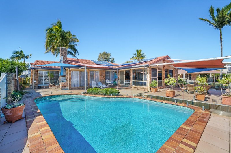 Photo - 17 Reliance Court, Newport QLD 4020 - Image 15