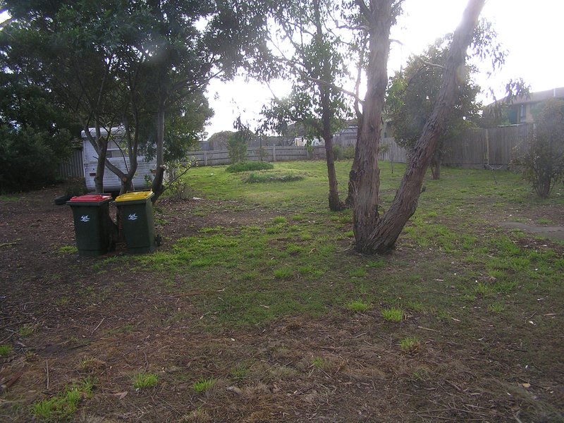 Photo - 17 Roberts Street, Triabunna TAS 7190 - Image 5