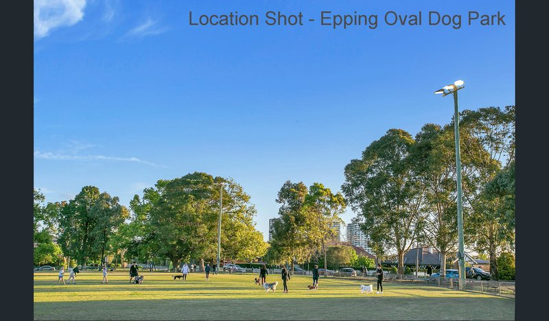 Photo - 17 Roma Street, North Epping NSW 2121 - Image 16