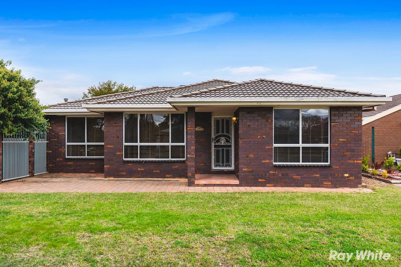 17 Sackville Drive, Forest Hill NSW 2651