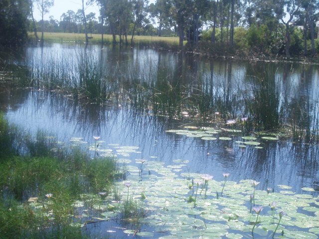 Photo - 17 Sandcastles Circuit, Burrum Heads QLD 4659 - Image 9