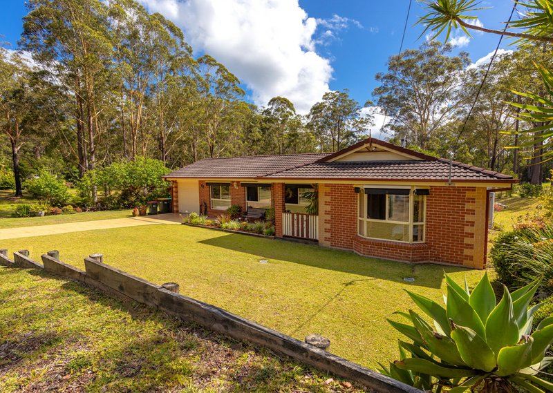 Photo - 17 Scotts Road, Mitchells Island NSW 2430 - Image 2