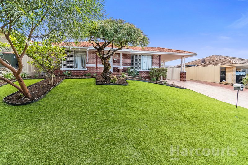 Photo - 17 Seabrook Grove, Clarkson WA 6030 - Image 2