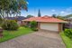 Photo - 17 Shamrock Avenue, Banora Point NSW 2486 - Image 1