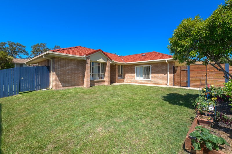 Photo - 17 Shawnee Crescent, Pimpama QLD 4209 - Image 1