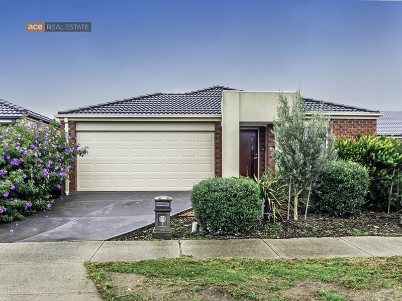 Photo - 17 Shield Road, Point Cook VIC 3030 - Image 1