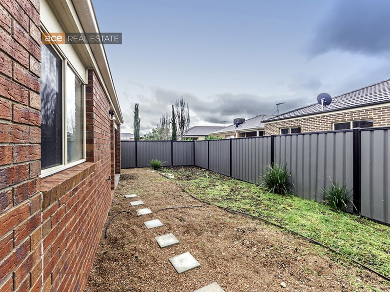 Photo - 17 Shield Road, Point Cook VIC 3030 - Image 12