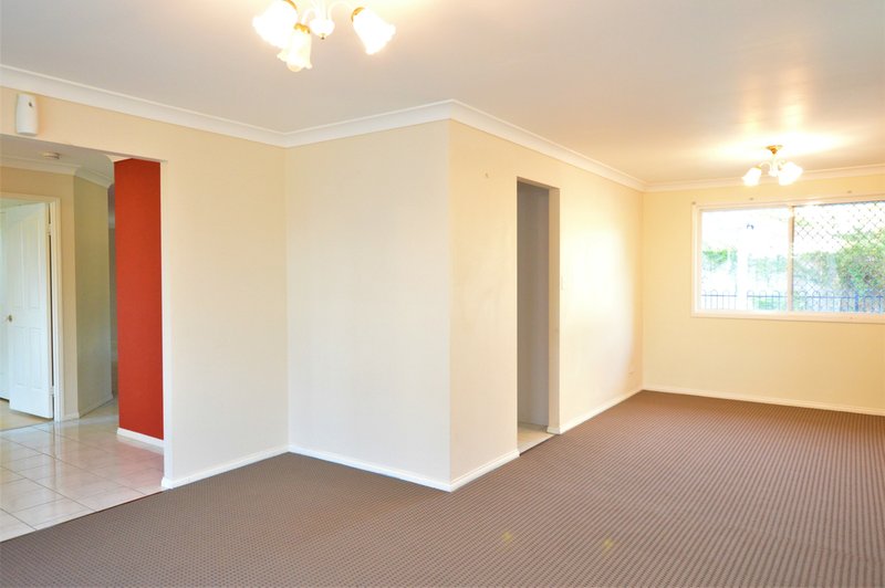 Photo - 17 Solandra Crescent, Calamvale QLD 4116 - Image 5