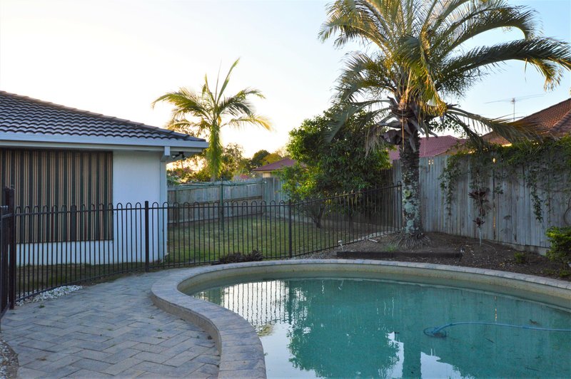 Photo - 17 Solandra Crescent, Calamvale QLD 4116 - Image 14