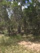 Photo - 17 Southfork Circuit, Burrum Heads QLD 4659 - Image 4