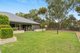 Photo - 17 Steinborner Street, Nuriootpa SA 5355 - Image 18