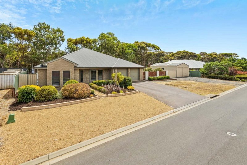 Photo - 17 Steinborner Street, Nuriootpa SA 5355 - Image 22