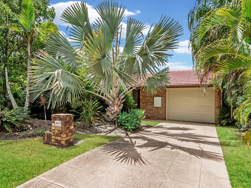 Photo - 17 Studio Drive, Oxenford QLD 4210 - Image 2