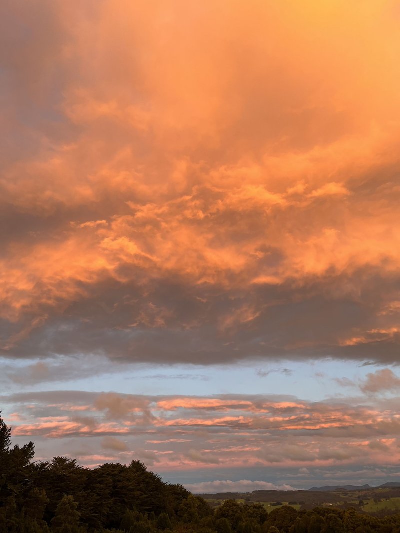 Photo - 17 Sweetmans Road, Yolla TAS 7325 - Image 8