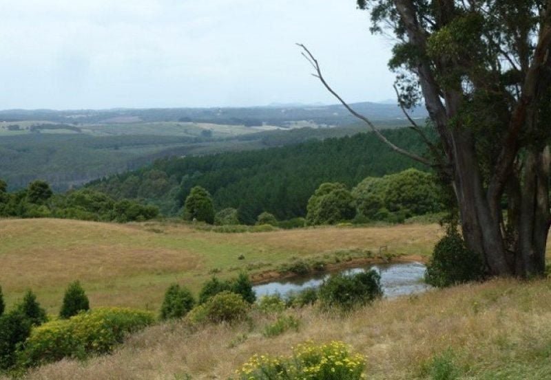 Photo - 17 Sweetmans Road, Yolla TAS 7325 - Image 12