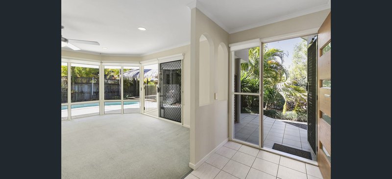 Photo - 17 Tallgrass Avenue, Tewantin QLD 4565 - Image 4