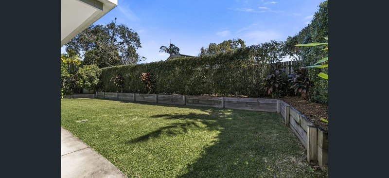 Photo - 17 Tallgrass Avenue, Tewantin QLD 4565 - Image 17