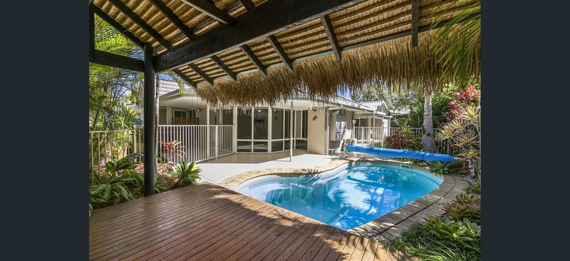 Photo - 17 Tallgrass Avenue, Tewantin QLD 4565 - Image 18