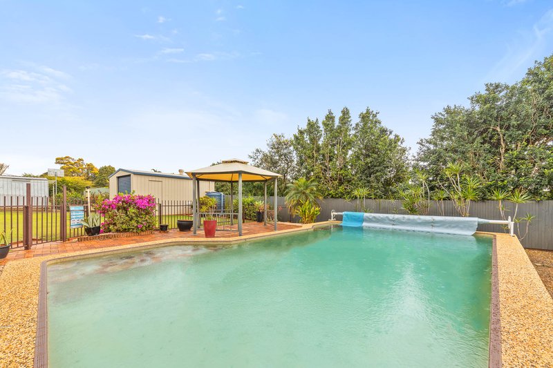 Photo - 17 Tarwarri Street, Bracken Ridge QLD 4017 - Image 8