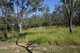 Photo - 17 The Glade, Singleton NSW 2330 - Image 3