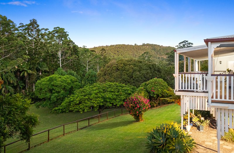 Photo - 17 Timberview Drive, Wongawallan QLD 4210 - Image 23