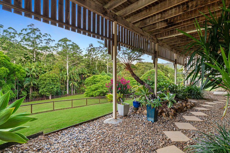 Photo - 17 Timberview Drive, Wongawallan QLD 4210 - Image 25