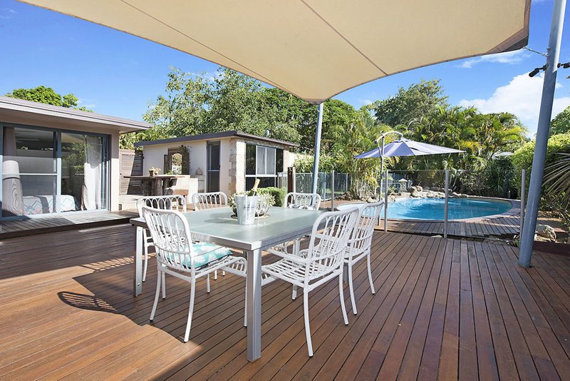 Photo - 17 Tindale Avenue, Buderim QLD 4556 - Image 4