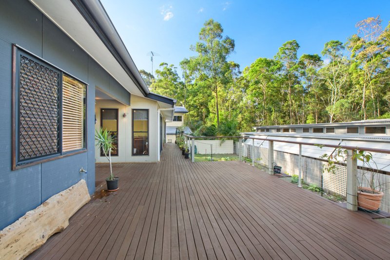 Photo - 17 Tommys Court, Buderim QLD 4556 - Image 5