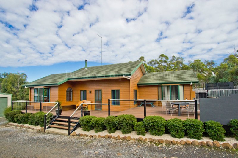 17 Travellers Drive, Travellers Rest TAS 7250