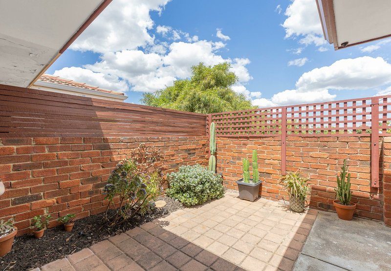 Photo - 17 Tremont Place, Craigie WA 6025 - Image 3